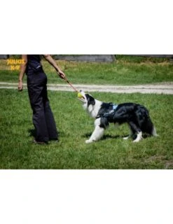 Julius K9 Pelota IDC Fluorescente Amarilla -Productos Para Perros pelota idc lumino asa cerrable 3 63a02a1b8bb2e