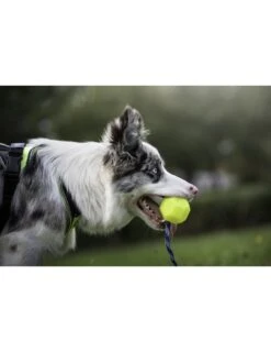 Julius K9 Pelota IDC Fluorescente Amarilla -Productos Para Perros pelota idc lumino asa cerrable 5 63a02a1dc2e62