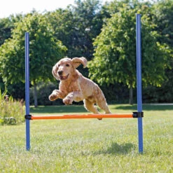 Trixie Valla De Agility Para Perros -Productos Para Perros perro saltar agility 64b93aad9f32c