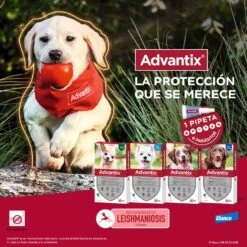 Advantix Pipetas Spot On Para Perro De Más De 25 Kg -Productos Para Perros pipetas advantix 63ea70074f66c