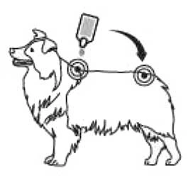 Pipetas Spot On Para Perros Grandes 2 Ml 4 Pipetas Spot On Para Perros Grandes 2 Ml - Imagen 2