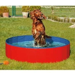 Flamingo Piscina Doggy Pool Para Perros Roja -Productos Para Perros piscina doggy pool roja azul