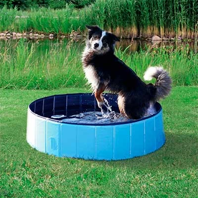 Trixie Piscina Para Perros Azul 4 Trixie Piscina Para Perros Azul - Imagen 2