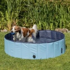 Trixie Piscina Para Perros Azul 13 Trixie Piscina Para Perros Azul -Productos Para Perros piscine pour chien trixie 80 cm 62a751a63195f