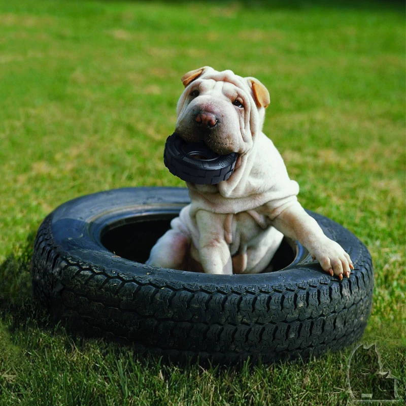 KONG Mordedor Rueda Extreme 4 KONG Mordedor Rueda Extreme - Imagen 2