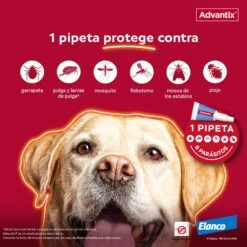 Advantix Pipetas Spot On Para Perro Hasta 4 Kg -Productos Para Perros proteccion pipeta advantix 63ea6b5b49b29