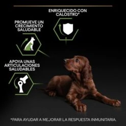 PURINA PRO PLAN Large Athletic Puppy Healthy Start 17 PURINA PRO PLAN Large Athletic Puppy Healthy Start -Productos Para Perros pu benefit tile m2 healthy start 1 2500x2500px 221229 1 1673334810874 8