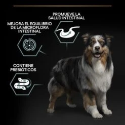 PURINA PRO PLAN Medium Adult Sensitive Digestion Cordero Y Arroz -Productos Para Perros pu benefit tile m2 sensitive digestion 1 2500x2500px 221229 1 2