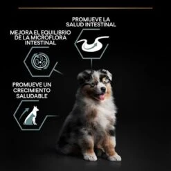 Purina Pro Plan Medium Puppy Sensitive Digestion Cordero Y Arroz -Productos Para Perros pu benefit tile m2 sensitive digestion 5 2500x2500px 221229 1 9