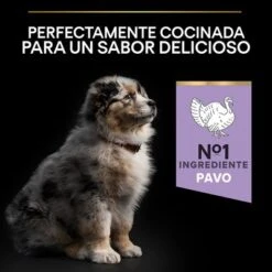 PURINA PRO PLAN All Sizes Puppy Sensitive Digestion Sin Cereales Con Pavo -Productos Para Perros pu proplan dog sdgrainfree allsize flavour 0