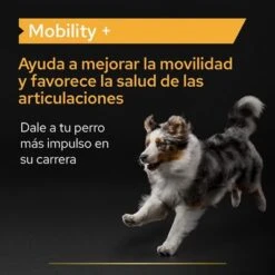 PRO PLAN Dog Adult Mobility Supplement En Polvo -Productos Para Perros pu supplementals atf mobility a 220513 es es 6