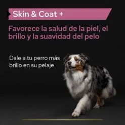 PRO PLAN Dog Adult Skin And Coat Supplement Aceite 16 PRO PLAN Dog Adult Skin And Coat Supplement Aceite -Productos Para Perros pu supplementals atf skin coat dog a 220513 es es 2