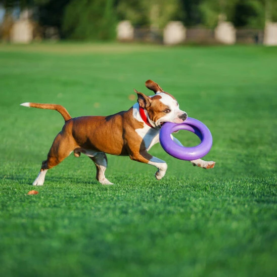 Puller 10 Puller - Imagen 8