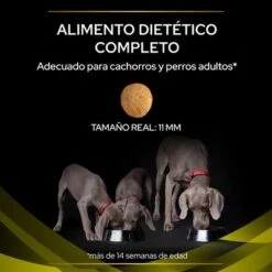 Purina Pro Plan HP Hepatic Veterinary Diets -Productos Para Perros puppvdddppvhp22ksizles 221017 1 1 8