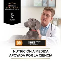 Purina OM Obesity Management Veterinary Diets Pienso Perros 18 Purina OM Obesity Management Veterinary Diets Pienso Perros -Productos Para Perros puppvdddppvom22endoles 220629 1 1656654162025 1