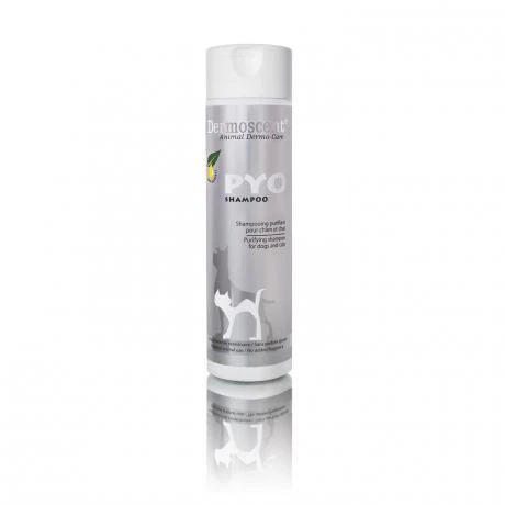 Dermoscent Pyo Shampoo Perros Y Gatos 3 Dermoscent Pyo Shampoo Perros Y Gatos