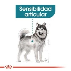 Royal Canin Maxi Joint Care -Productos Para Perros rc ccn jointcaremaxi cv eretailkit 2 es es 7