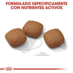 Royal Canin Maxi Joint Care -Productos Para Perros rc ccn jointcaremaxi cv eretailkit 5 es es 9