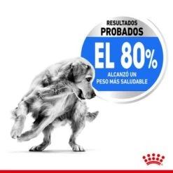 Royal Canin Medium Light Weight Care 13 Royal Canin Medium Light Weight Care -Productos Para Perros rc spt dry lightweightmed cv 2 es es 1 1 5