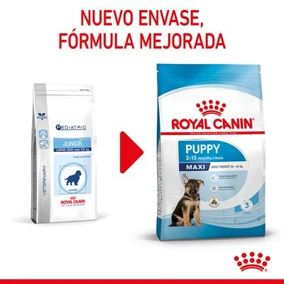 Royal Canin Maxi Puppy 4 Royal Canin Maxi Puppy - Imagen 2