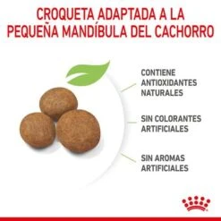 Royal Canin Maxi Puppy 20 Royal Canin Maxi Puppy -Productos Para Perros rc spt dry maxipuppy cv 4 es es 7