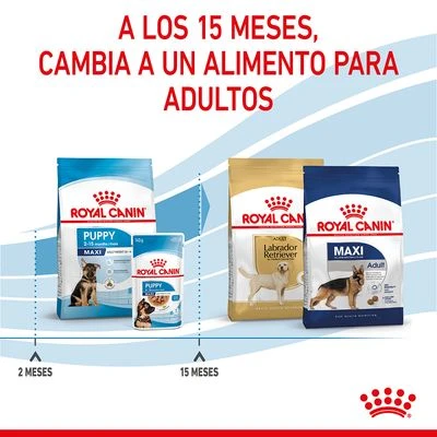 Royal Canin Maxi Puppy 14 Royal Canin Maxi Puppy - Imagen 12