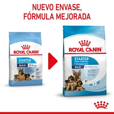 Royal Canin Maxi Starter 5 Royal Canin Maxi Starter - Imagen 3