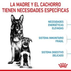 Royal Canin Maxi Starter 18 Royal Canin Maxi Starter -Productos Para Perros rc spt dry maxistart cv 2 es es 4