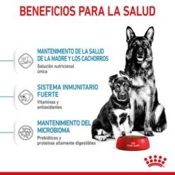 Royal Canin Maxi Starter 19 Royal Canin Maxi Starter -Productos Para Perros rc spt dry maxistart cv 3 es es 0