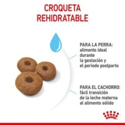Royal Canin Maxi Starter 20 Royal Canin Maxi Starter -Productos Para Perros rc spt dry maxistart cv 4 es es 5