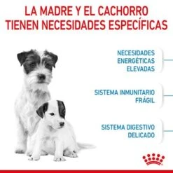 Royal Canin Mini Starter 17 Royal Canin Mini Starter -Productos Para Perros rc spt dry ministart cv 2 es es 6