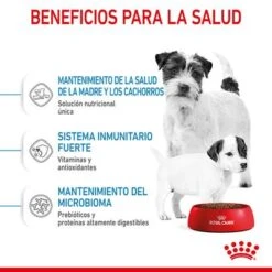 Royal Canin Mini Starter 16 Royal Canin Mini Starter -Productos Para Perros rc spt dry ministart cv 3 es es 6