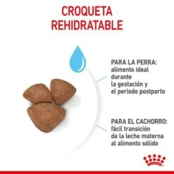 Royal Canin Mini Starter 21 Royal Canin Mini Starter -Productos Para Perros rc spt dry ministart cv 4 es es 0