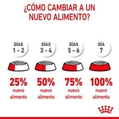 Royal Canin Mini Starter 19 Royal Canin Mini Starter -Productos Para Perros rc spt dry ministart cv 8 es es 8
