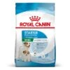 Royal Canin Mini Starter 2 Royal Canin Mini Starter -Productos Para Perros rc spt dry ministart mv 2 es es 2