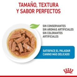 Royal Canin Maxi Puppy En Salsa Para Perros -Productos Para Perros rc spt wet maxipuppy cv 2 es es 1