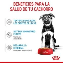 Royal Canin Maxi Puppy En Salsa Para Perros -Productos Para Perros rc spt wet maxipuppy cv 3 es es 8