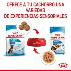 Royal Canin Maxi Puppy En Salsa Para Perros -Productos Para Perros rc spt wet maxipuppy cv 4 es es 7