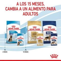 Royal Canin Maxi Puppy En Salsa Para Perros -Productos Para Perros rc spt wet maxipuppy cv 8 es es 9