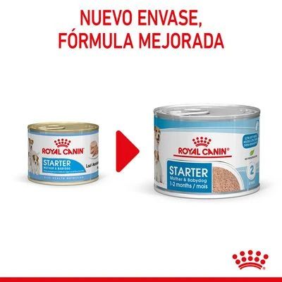 Royal Canin Starter Mousse 4 Royal Canin Starter Mousse - Imagen 2