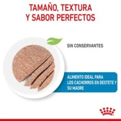 Royal Canin Starter Mousse 18 Royal Canin Starter Mousse -Productos Para Perros rc spt wet startermousse can cv 2 es es 7