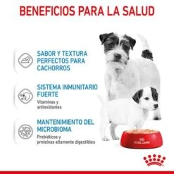 Royal Canin Starter Mousse 19 Royal Canin Starter Mousse -Productos Para Perros rc spt wet startermousse can cv 3 es es 8