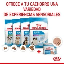 Royal Canin Starter Mousse 20 Royal Canin Starter Mousse -Productos Para Perros rc spt wet startermousse can cv 4 es es 3