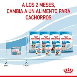 Royal Canin Starter Mousse 23 Royal Canin Starter Mousse -Productos Para Perros rc spt wet startermousse can cv 8 es es 3