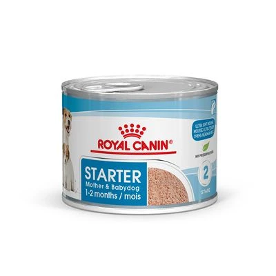 Royal Canin Starter Mousse 6 Royal Canin Starter Mousse - Imagen 4