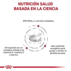 Royal Canin Veterinary Canine Cardiac Pienso Para Perros 12 Royal Canin Veterinary Canine Cardiac Pienso Para Perros -Productos Para Perros rc vdi cardiacdry cv eretailkit 3 es es 6