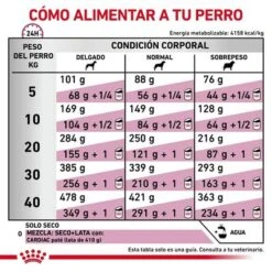 Royal Canin Veterinary Canine Cardiac Pienso Para Perros 14 Royal Canin Veterinary Canine Cardiac Pienso Para Perros -Productos Para Perros rc vdi cardiacdry cv eretailkit 6 es es 9