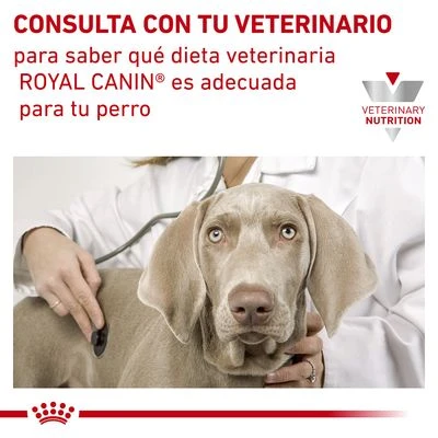 Royal Canin Veterinary Canine Anallergenic Pienso Para Perros 8 Royal Canin Veterinary Canine Anallergenic Pienso Para Perros - Imagen 6