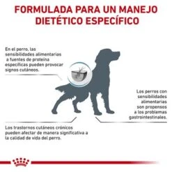 Royal Canin Veterinary Canine Anallergenic Pienso Para Perros 15 Royal Canin Veterinary Canine Anallergenic Pienso Para Perros -Productos Para Perros rc vet dry dogana cv eretailkit 7 es es 7