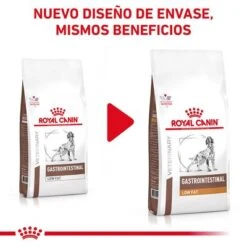 Los recién llegados -Productos Para Perros rc vhn gastrointestinallowfatdog cv eretailkit 1 es es pdf 2